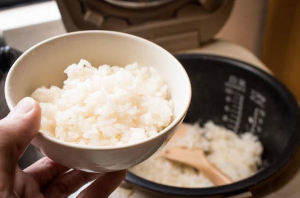 Tetsu No Kenko Tai Cast Iron Fish for Cooking by Japanese Taste