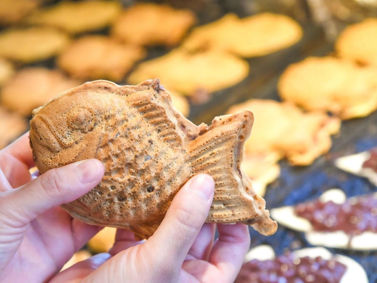 Japanese Taiyaki – Everything You Need to Know About this Fish-Shaped –  Japanese Taste