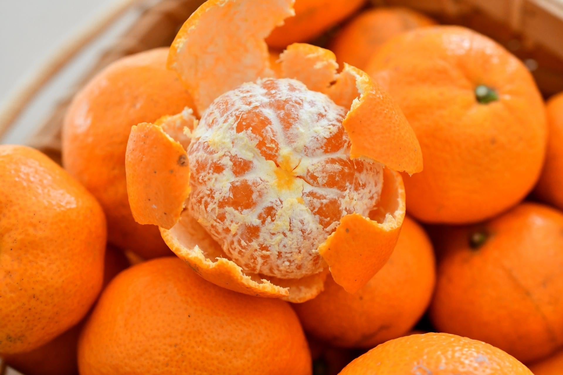 Uncovering Japanese Mandarins – Japanese Taste
