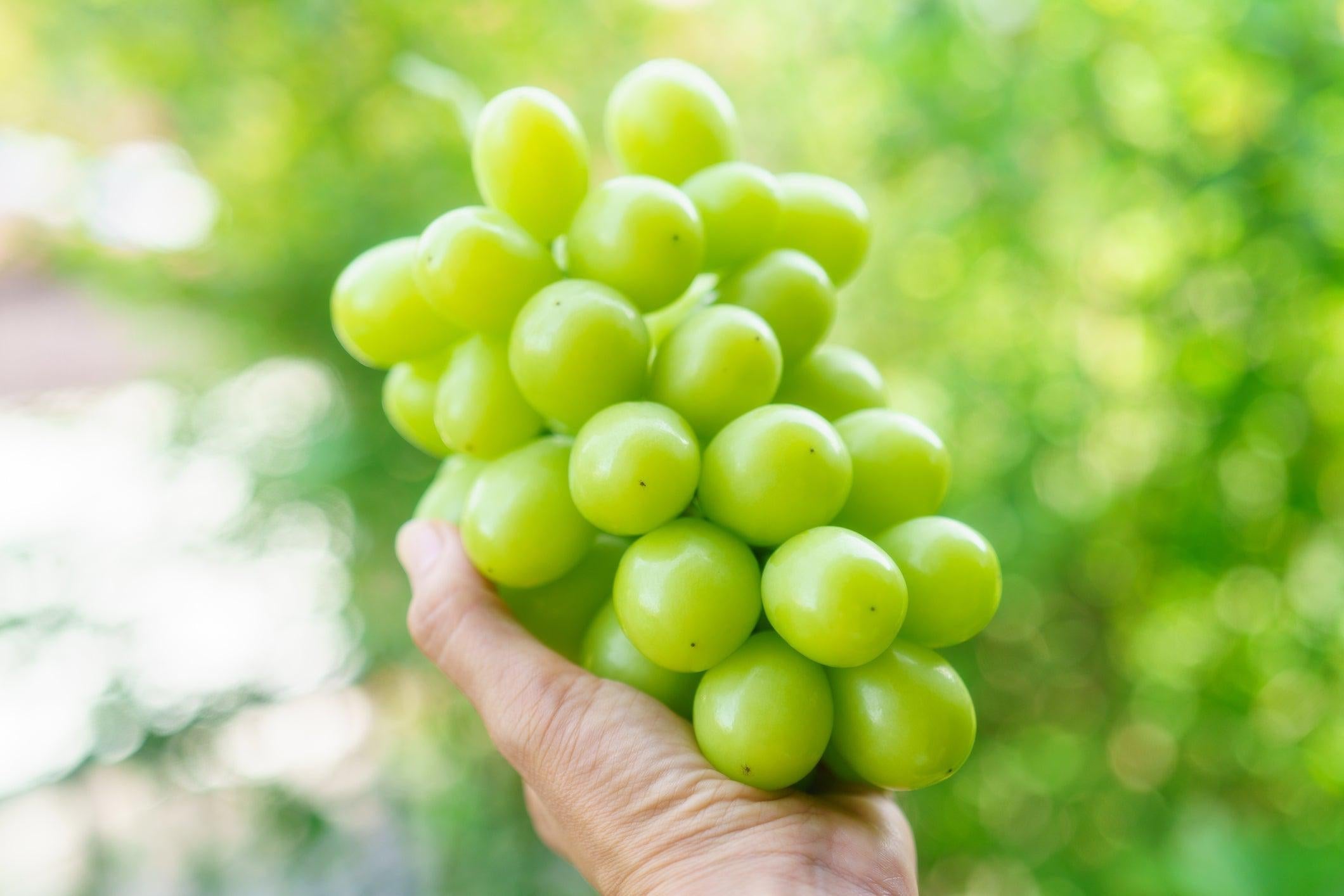 Organic Autumn King Seedless Green Grapes, 2 lb