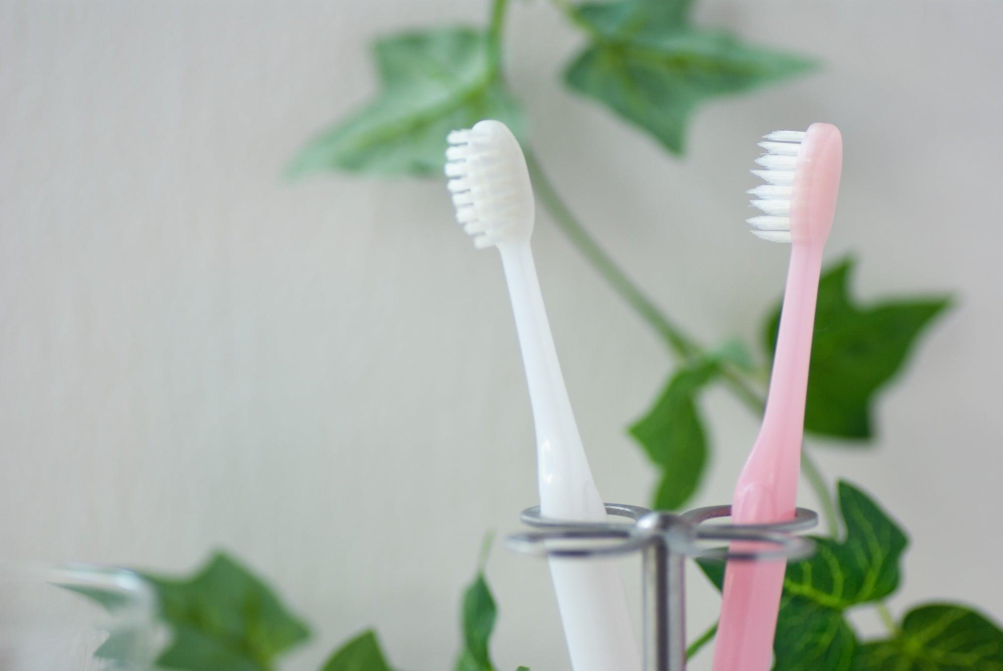 Buy Japanese Toothbrushes Online – Japanese Taste