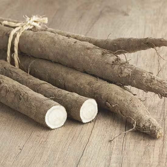 Chikyubatake Organic Gobocha Japanese Burdock Root Tea Bags 15ct.