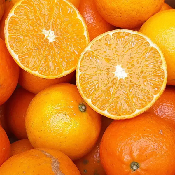 Chikyubatake Organic Handmade Tankan Citrus Marmalade Jam 140g