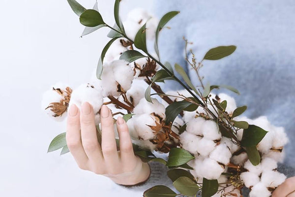 Cotton Labo