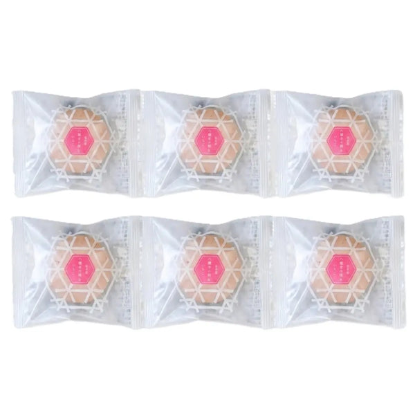 Hachimantai Juhyo Strawberry Chocolate Individual Marshmallow Cake (Pack of 6)