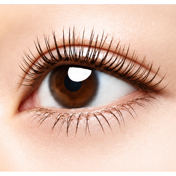 Kosé Fasio Long Lasting Curl & Waterproof Mascara Black