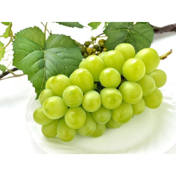 Orihiro-Drinkable-Konjac-Jelly-Drink-White-Muscat-Grape-Flavor-130g-3-2024-05-02T06:04:40.697Z.jpg