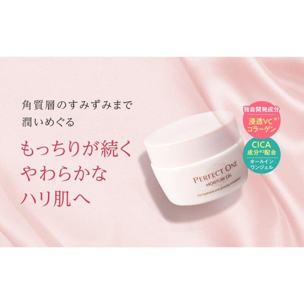 Perfect One Moisture Gel (All in One Moisturizer for Normal Skin) 75g