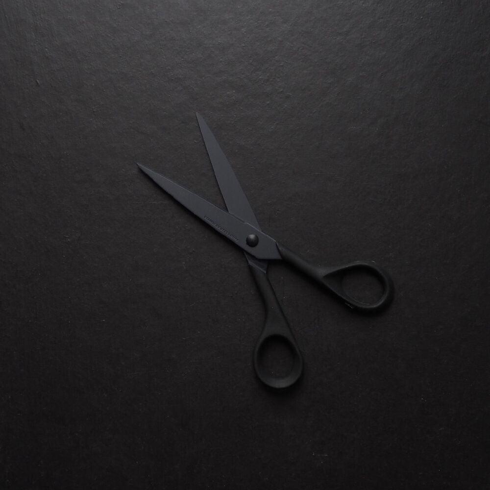  ALLEX Small Skinny Scissors for Office 5.5, All