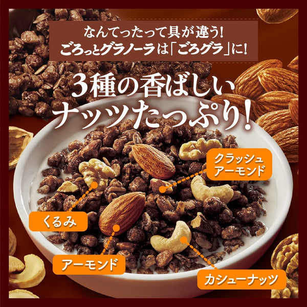 Nissin Gorogura Japanese Granola Cereal Chocolate Nuts 360g, Japanese Taste