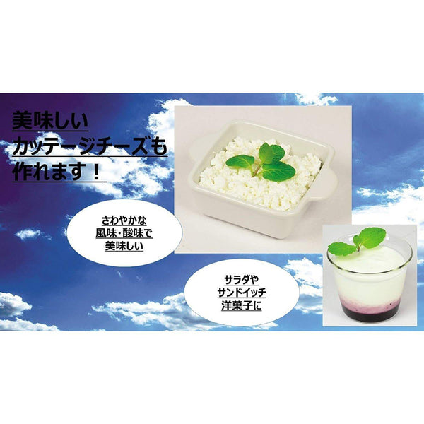 Pearl Metal Greek Yogurt Maker Strainer C-478-Japanese Taste