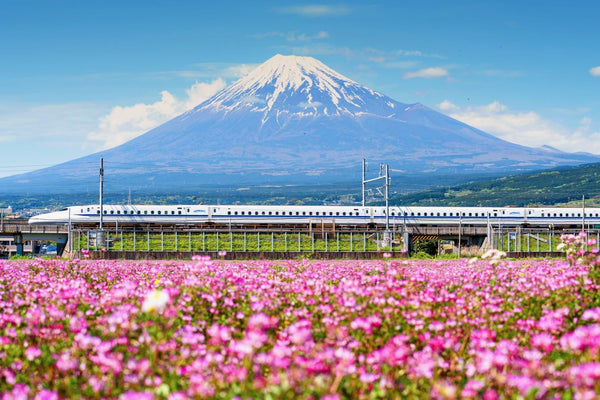 All About The Shinkansen – The Fastest Train In Japan-Japanese Taste