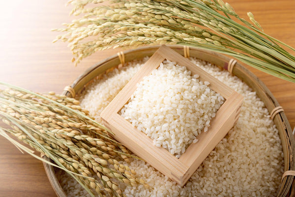 An Essential Guide To Japanese Rice - Everything You Need To Know About This Crucial Staple Food