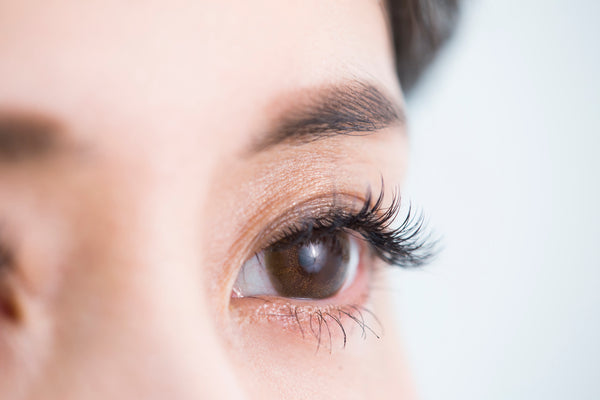 10 of The Best Japanese Mascaras for Extra Long & Curvy Lashes-Japanese Taste