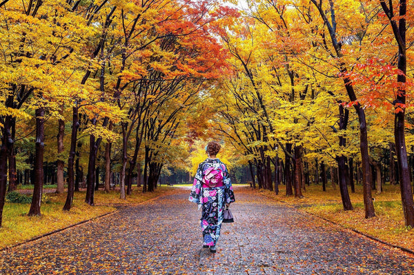 The Top 10 Places To See Autumn Leaves In Tokyo-Japanese Taste