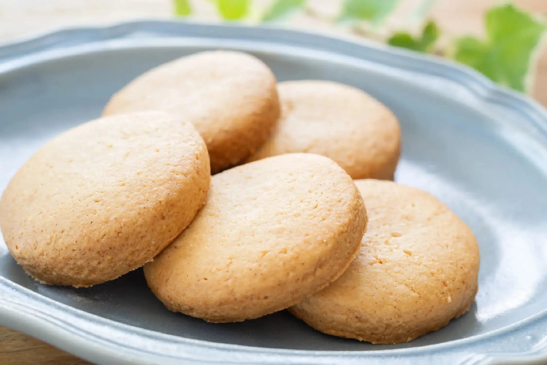 Yamazaki Biscuits