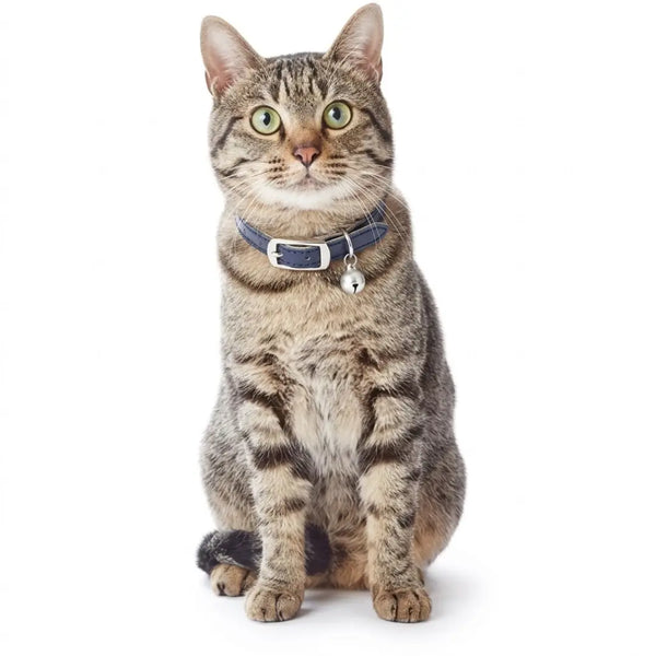 Add.Mate Cowhide Leather Cat Collar Safety-Release Buckle Blue 7.9–9.8"