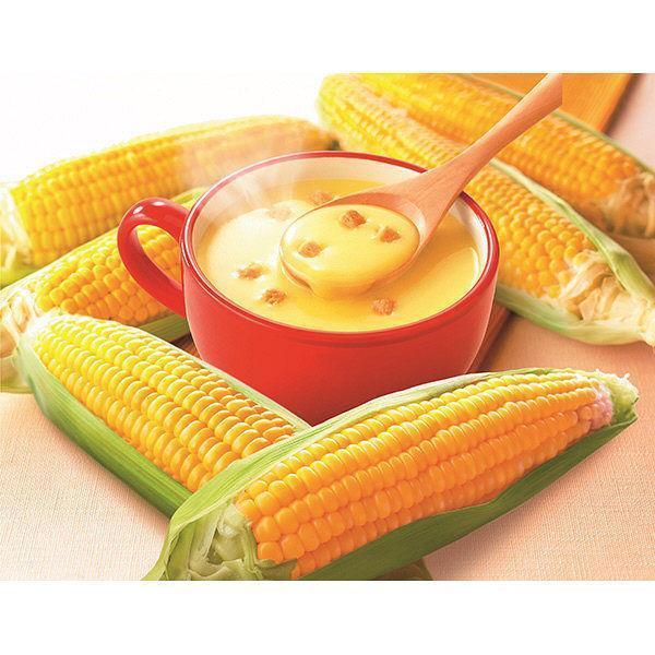 Ajinomoto Knorr Cup Soup Corn Cream with Croutons 16 Servings, Japanese Taste