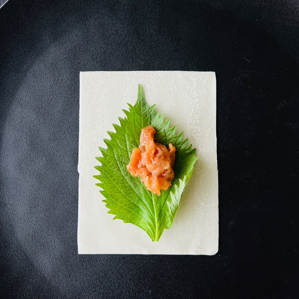 placing shiso and ume paste onto a gyoza wrapper