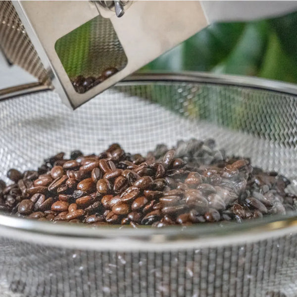 Kogu Compact Hand Crank Coffee Bean Roaster Drum for Home Roasting