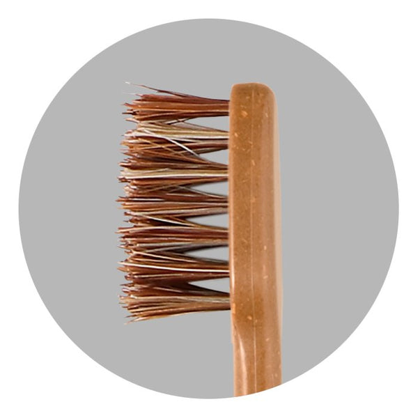Meguru-Eco-Friendly-Bamboo-Toothbrush-Gentle-Natural-Bristle-2-2024-01-11T05:03:15.878Z.jpg