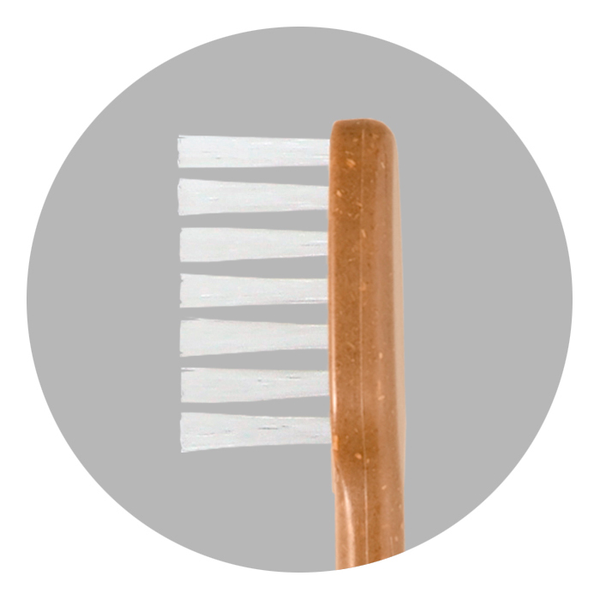 Meguru-Eco-Friendly-Vegan-Bamboo-Toothbrush-Regular-Bristle-3-2024-01-11T09:03:41.726Z.png