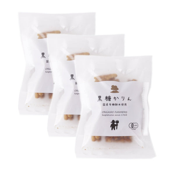 Organic-Karinto-Rice-Crackers-Soaked-With-Shoyu-Brown-Sugar-30g-Pack-of-3-1-2025-01-15T04:22:24.714Z.jpg