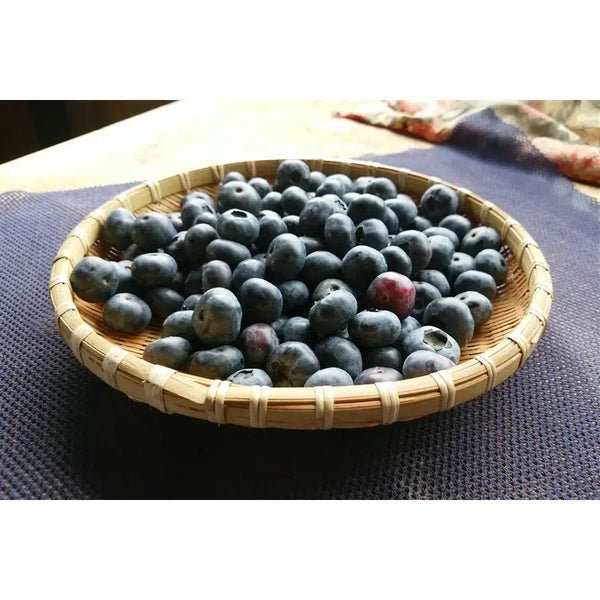 P-3-MSGE-BLBVIN-500-Marushige Blueberry Premium Drinking Vinegar 500ml-2023-09-11T01:54:12.webp