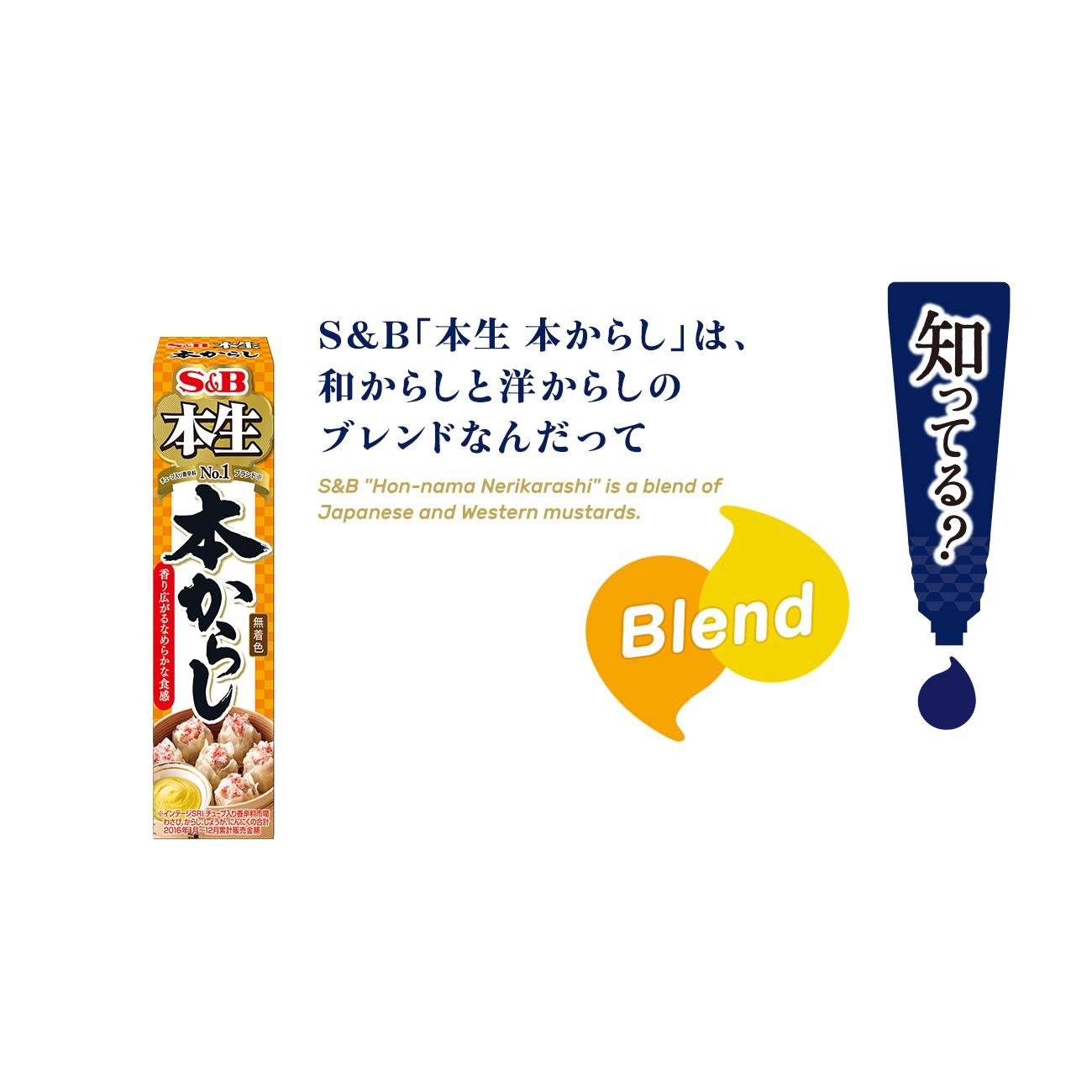 S&B Karashi Sauce Japanese Mustard Paste Tube 43g – Japanese Taste