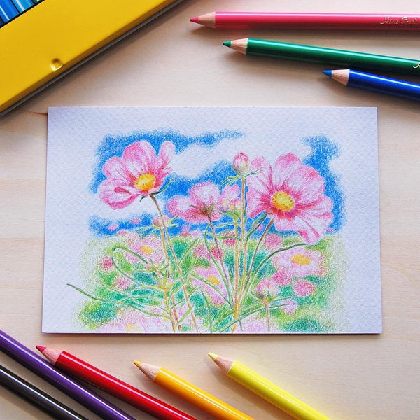 Tombow Colored Pencils 36 Colors CB-NQ36C