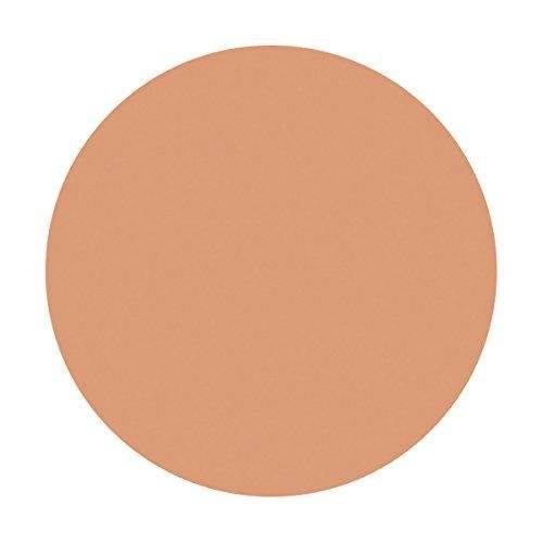 Shiseido Spots Cover Foundation Base Color 20g