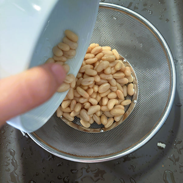 draining the white kidney beans