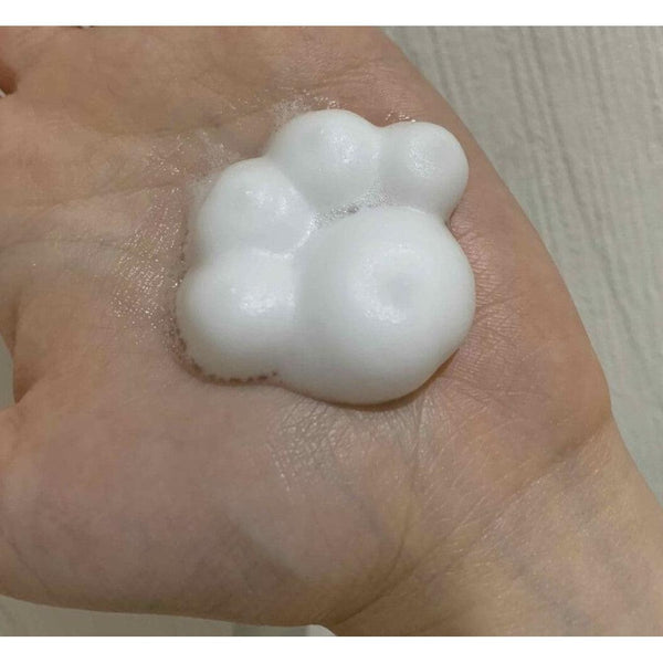 Kao Biore Paw Pad Shaped Foaming Hand Wash 240ml-Japanese Taste