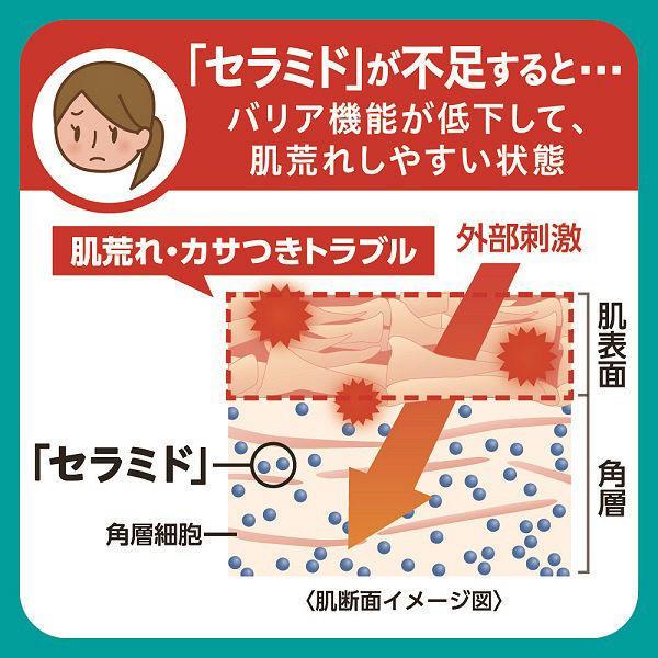 Kao Curel Moisture Milk Body Lotion Pump Bottle 410ml, Japanese Taste