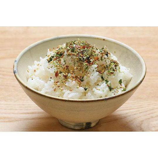 Nagatanien Otona no Furikake Rice Seasoning Wasabi 13.5g, Japanese Taste