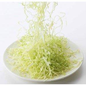 Shimomura Mandoline Cabbage Shredder Slicer 35950, Japanese Taste
